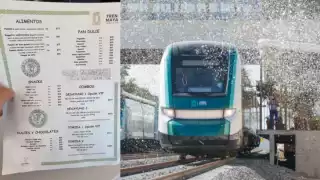 El Tren Maya ofrece una variedad de opciones gastronómicas para todos los gustos y presupuestos