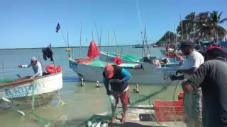 Ganadería y pesca en Sabancuy, peligran por la falta de apoyos de Gobierno