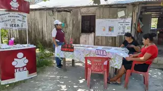 Deben cubrir todos los requisitos y contar con último grado de estudios de licenciatura