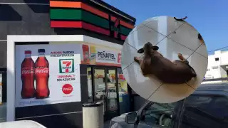 En Yucatán se ha registrado una sensación térmica de 52 grados Celsius