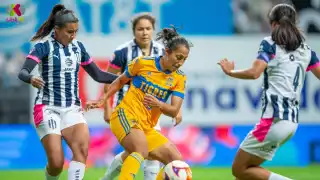 La temporada 2023 fue para las 'Amazonas' de Tigres, quienes se proclamaron campeonas de México por sexta ocasión luego de vencer 3-0 en el global a las Águilas del América
