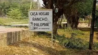 La menor fue rescatada junto a otros 19 niños en la vía Campeche-Chiná