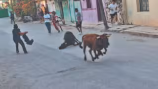Panplomuchada: Turistas y jóvenes se preparan para la tradición, adrenalina y diversión en Pomuch