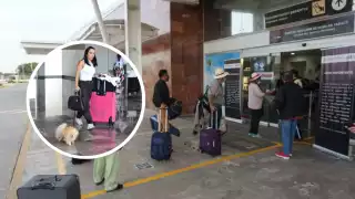 Sólo está permitido un perro o gato por jaula transportadora