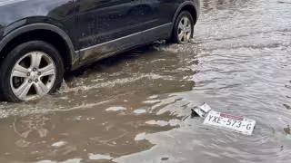 ¿Perdiste la placa de tu auto tras las lluvias en Yucatán? Estos son los costos para reponerla