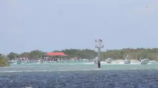 Los pescadores vigilan que personas de Dzilam de Bravo, Celestún y Progreso saqueen la langosta