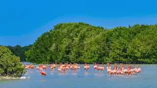 Esta es la playa más hermosa de Yucatán según los viajeros de Tripadvisor