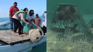 Yucatán inicia estrategia de arrecifes artificiales con 30 estructuras frente a Río Lagartos