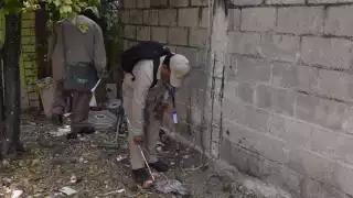 Esta temporada de lluvias la SSa busca prevenir el aumento de contagio de dengue