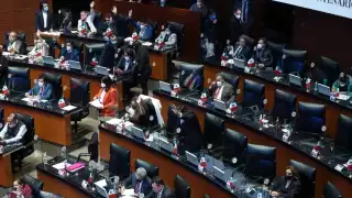 El INE estará encargado de su organización, garantizando los principios de legalidad e imparcialidad

