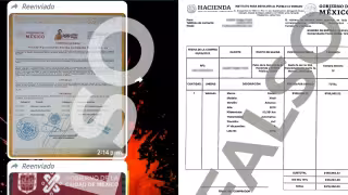Instituto para Devolver al Pueblo lo Robado detecta 65 páginas de gobierno falsas este 2023