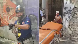 El hombre cayó luego de intentar rescatar a su perrito