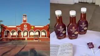 Instalación de Centro de Acopio de Miel Bienestar en Temozón beneficiará a productores del Oriente de Yucatán