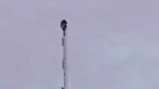 Después de horas convencieron al hombre de bajar