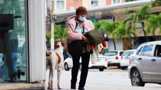 Miles de mexicanos o extranjeros han encontrado en Quintana Roo la opción de vivir de manera tranquila y disfrutar de los atractivos turísticos y naturales