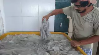 A partir del primero de agosto, más de dos mil embarcaciones saldrán a la captura