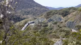 FGR detiene a segundo implicado por tragedia del Tren Interoceánico; ya hay dos procesados