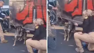 El conductor del remolque fue detenido