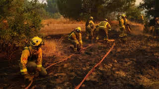 España enfrenta horas críticas por incendios: el fuego arrasa miles de hectáreas ante una nueva ola de calor