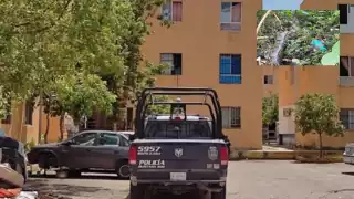 Alarmaron ante la inusual visita.