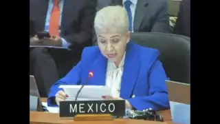 México defiende ante la OEA su derecho de asilo y acusa intento de revisar tratado sin facultades