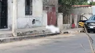 l personal del Semefo será el encargado de llevarse el cuerpo para la autopsia correspondiente