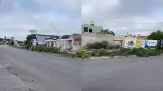 Misteriosa tala de árboles en el Oriente de Mérida desata indignación vecinal