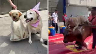 Frida celebró 10 años con una gran fiesta