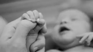 Se le aplicó la eutanasia. Foto: Especial