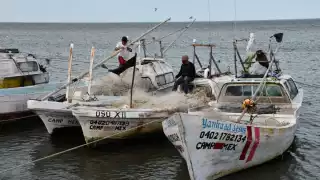 Campechanos amanecen con lluvias y frio esta mañana de jueves