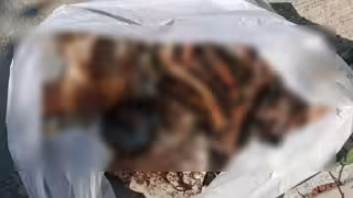 ¡Sustazo en Ciudad Caucel! Vecino sube a limpiar el techo de su casa y halla una bolsa con restos óseos