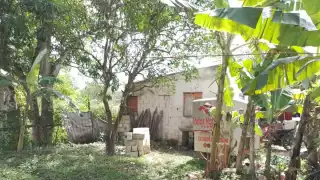 Los responsables entraron por la parte de atrás de la casa cuando la familia salio del lugar