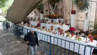 El montaje se encuentra ubicado en la Plaza Grande, de frente a la Catedral