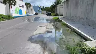 Mencionan que han denunciado la situación a la CAPA, pero no hacen nada al respecto