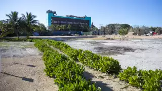Construirán hotel en el Área Natural Manglares de Nichupté en Cancún, pese a violación ambiental