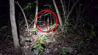 ¿Un alux en Mérida? Captan extraña figura en la Reserva Cuxtal