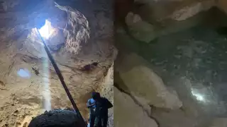 Familia descubre un cenote debajo de su terreno en Hocabá, Yucatán: VIDEO