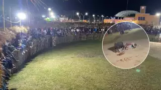 En el lugar un caballo fue embestido violentamente en varias ocasiones por un toro, lo que causó el enojo de animalistas
