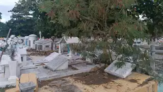 Por doquier se observaba a la gente tratando de retirar dichas plantas con sus propias manos