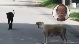 Caso de zoofilia en Chetumal: Aún sin definirse la situación jurídica del detenido