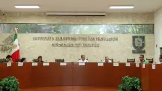 Corresponde a cada partido político la decisión de seleccionar la metodología para elegir a sus precandidatos