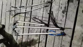 Semar desmantela cocinas clandestinas de pepino de mar en Yucatán