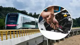 Los curriculums podrán enviarse hasta el primero de diciembre