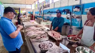 Proveedores les surten desde Champotón, Isla Aguada, Sabancuy y de Carmen