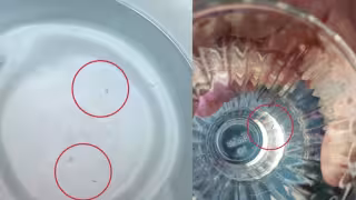 En Escárcega, denuncian venta de agua purificada con insectos