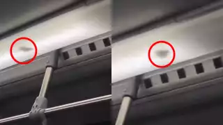 Pasajera del Va y Ven capta un presunto ratón a bordo de la unidad en Mérida