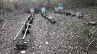 El apicultor solo pudo recolectar menos de la mitad de un tambo de miel