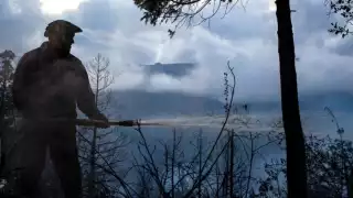 El cuerpo de emergencia de Bomberos de Viña del Mar i nformó que está superada la emergencia forestal