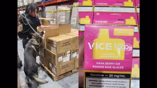 Marina decomisa más de 22 mil vapeadores en el AICM valuados en 5.2 millones de pesos