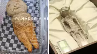 La conchalien es creación de panadería La Herencia JD
